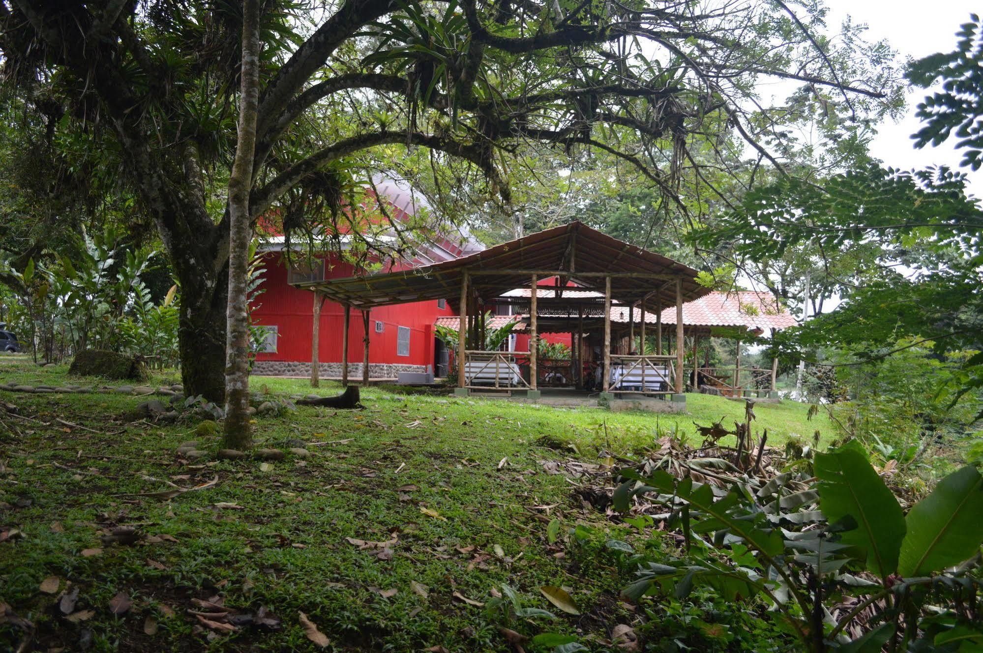 Islas Del Rio Hostel Tirimbina 외부 사진