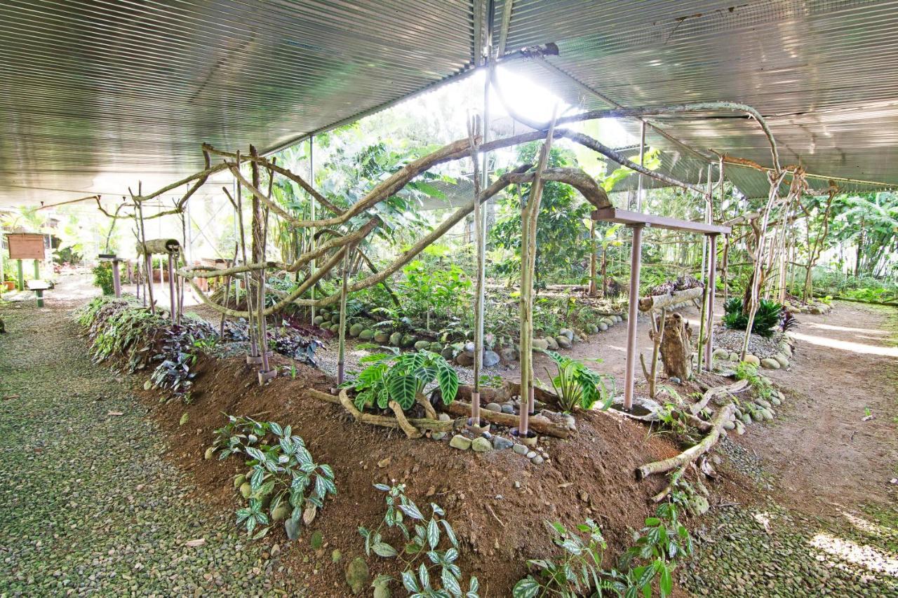 Islas Del Rio Hostel Tirimbina 외부 사진